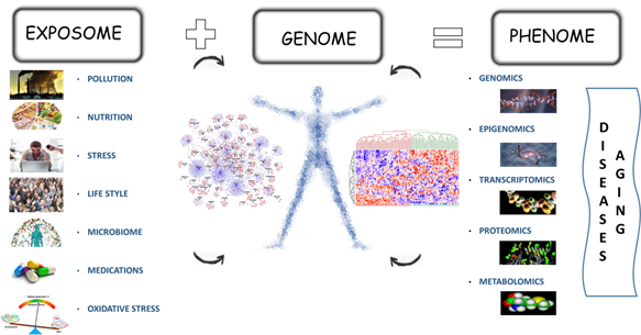 The exposome and human health