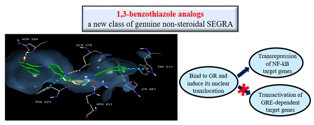 molendocrinology_benzothiazole_analogues