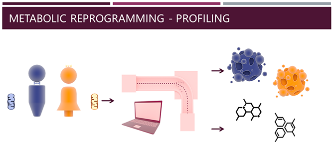 BiomarkerDiscovery_TranslationalResearch_01