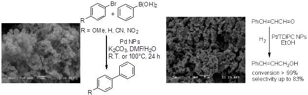 Catalysis by metal nanoparticles