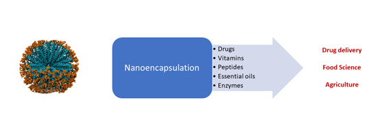 Colloidal_nanodispersions