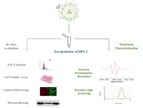 bioactive_compounds_Evaluation