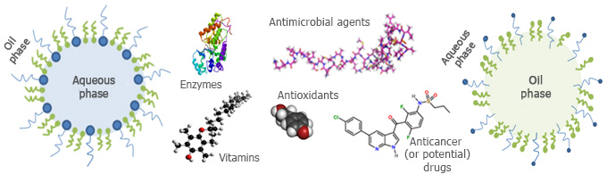 Biomimetics & Nanobiotechnology