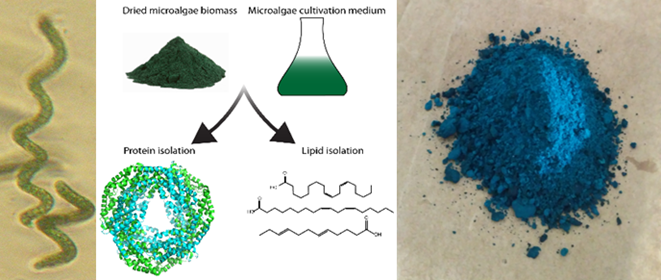 Bioactive compounds