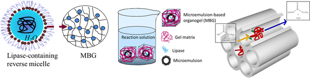 biocatalysis