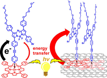 Chem. Eur. J. 2020, 26, 6652