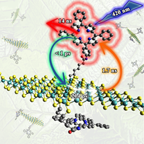 Angew. Chem. Int. Ed. 2020, 59, 3976