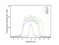 http://www.nanovuv.eu/PHOTOS/bioarrays%20Fig%2021.jpg