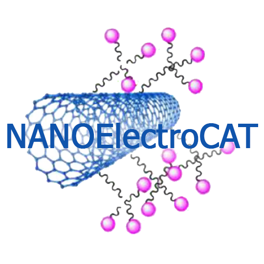 NANOElectroCAT
